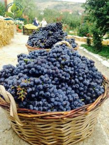 مقاله:کاربردهای انگور مویز در تولید شراب و صنعت بزرگ بازرگانی